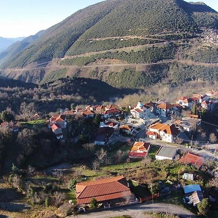 2 Alonia Hotel Anatoliki Frangista Bagian luar foto